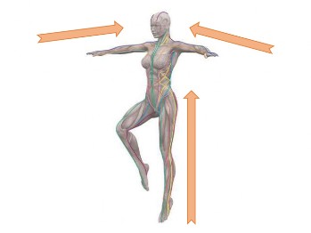 Strumenti Propriocettivi Simultaneamente